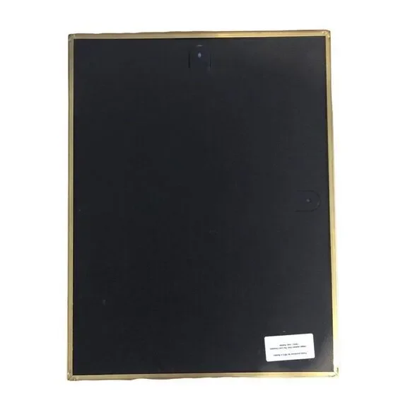 Rare IKEA Botanical Prints set of 4 Brass Frame